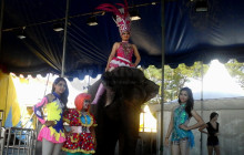 Oriental Circus Diserbu Penonton Di Akhir Pekan