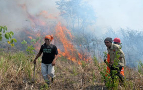 Walhi Rilis Perusahaan Dibalik Kebakaran Hutan
