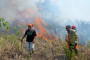 Polisi Dinilai Tak Tegas Sanksi Pembakar Hutan