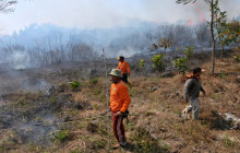 Cargil Respon Walhi Soal Kebakaran Hutan