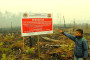 Polisi Dinilai Tak Tegas Sanksi Pembakar Hutan