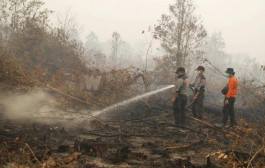 Satu Lagi Tewas Terbakar Di Hutan Ponorogo