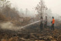 Satu Lagi Tewas Terbakar Di Hutan Ponorogo